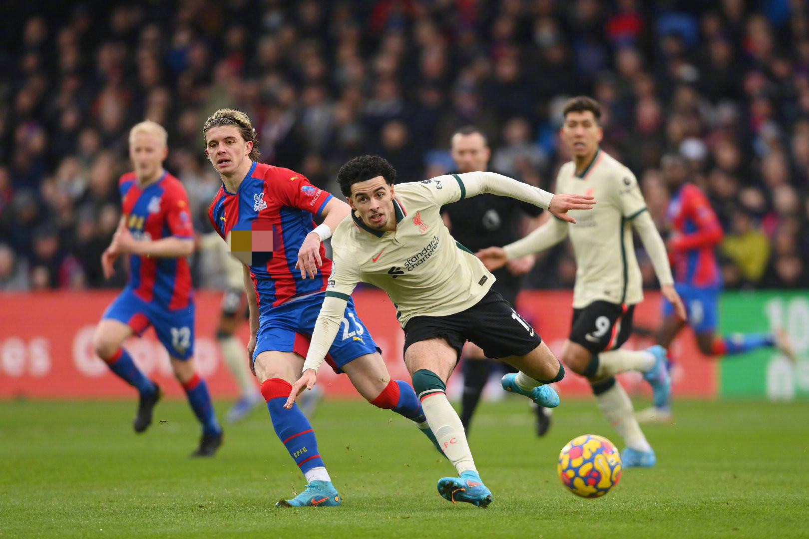 通过不懈努 通过不懈努